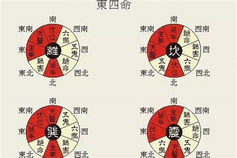 东西四命查询|东西四命速查表